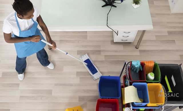 Read more about the article Mosaic ~ Professional Cleaning