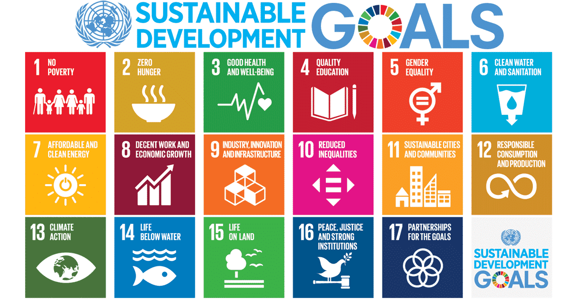 SDG goals