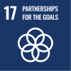 sdg-17 sdg-17